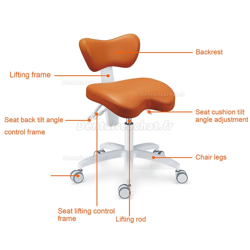 TYTCPLST-060 Siège assistante dentaire, tabouret ergonomique dentiste (coussin de siège/angle du dossier réglable)