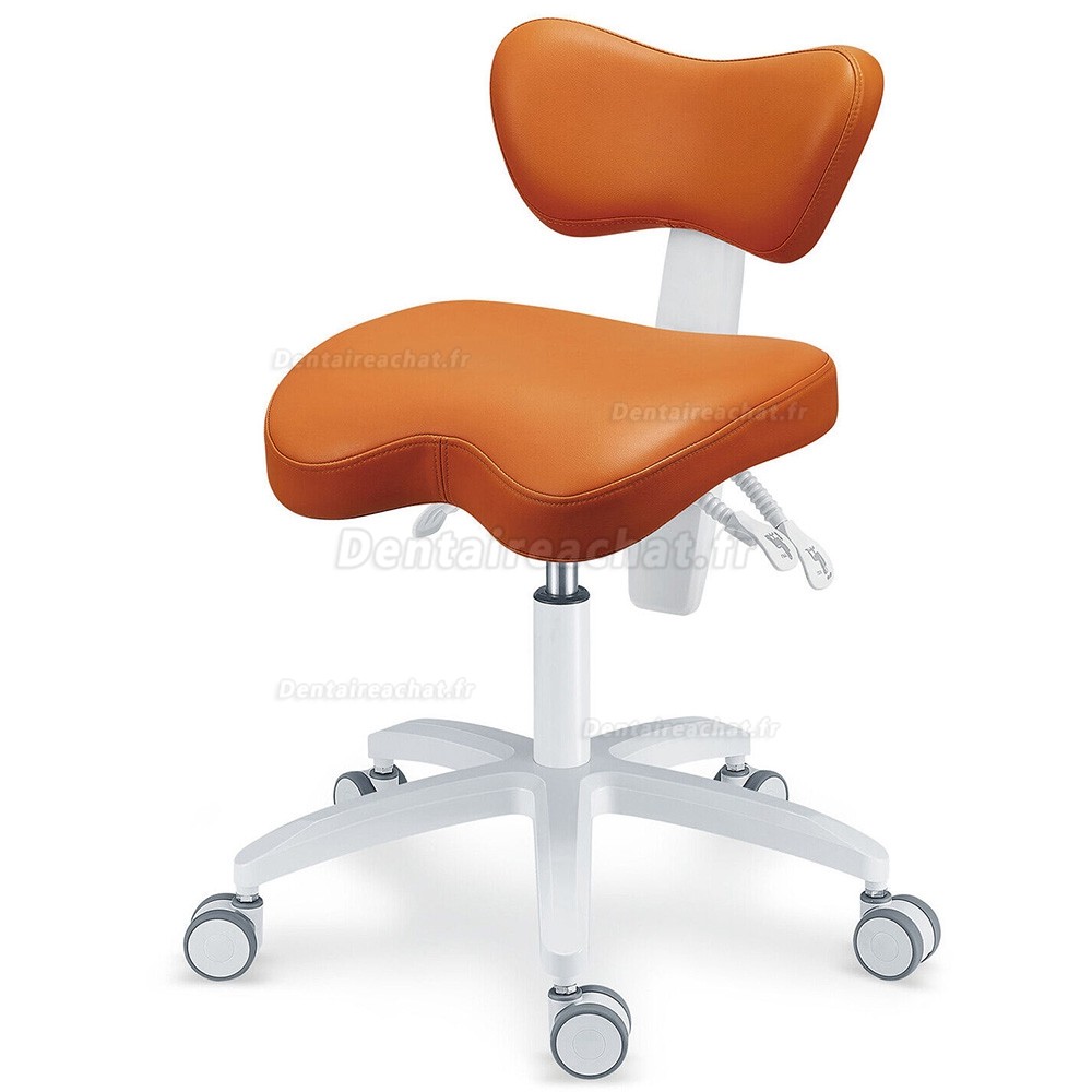 TYTCPLST-060 Siège assistante dentaire, tabouret ergonomique dentiste (coussin de siège/angle du dossier réglable)