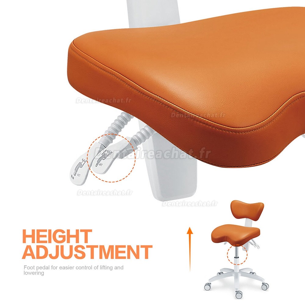 TYTCPLST-060 Siège assistante dentaire, tabouret ergonomique dentiste (coussin de siège/angle du dossier réglable)